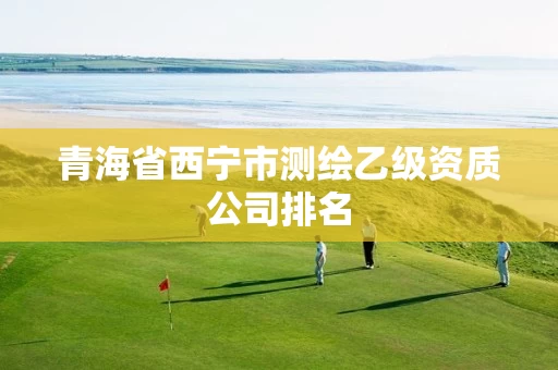 青海省西宁市测绘乙级资质公司排名 青海省西宁市测绘乙级资质公司排名