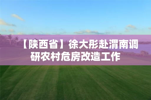 【陕西省】徐大彤赴渭南调研农村危房改造工作