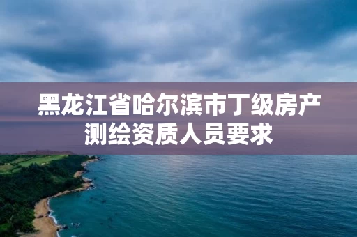 黑龙江省哈尔滨市丁级房产测绘资质人员要求 黑龙江省哈尔滨市丁级房产测绘资质人员要求