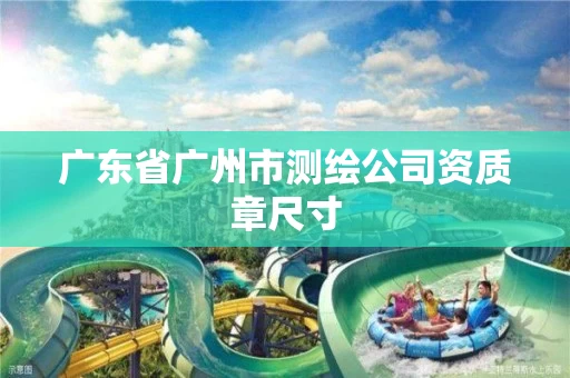 广东省广州市测绘公司资质章尺寸