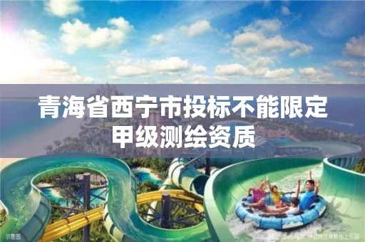 青海省西宁市投标不能限定甲级测绘资质 青海省西宁市投标不能限定甲级测绘资质