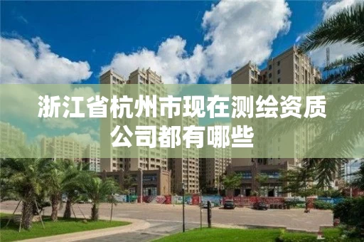浙江省杭州市现在测绘资质公司都有哪些