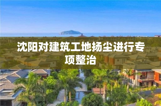 沈阳对建筑工地扬尘进行专项整治