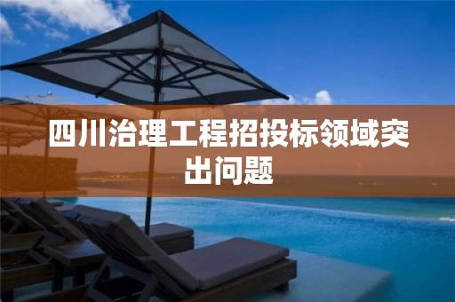 四川治理工程招投标领域突出问题