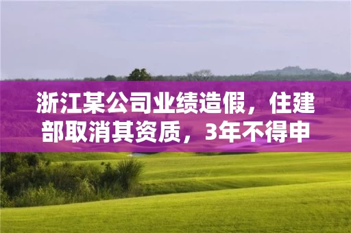 浙江某公司业绩造假，住建部取消其资质，3年不得申请