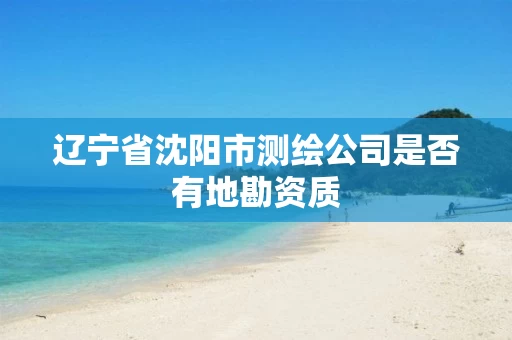 辽宁省沈阳市测绘公司是否有地勘资质