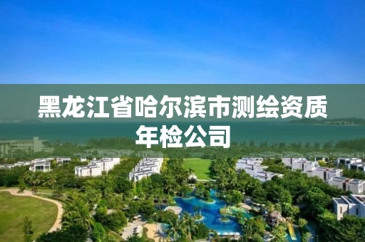黑龙江省哈尔滨市测绘资质年检公司