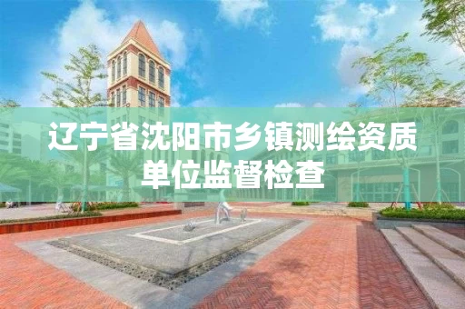 辽宁省沈阳市乡镇测绘资质单位监督检查 辽宁省沈阳市乡镇测绘资质单位监督检查