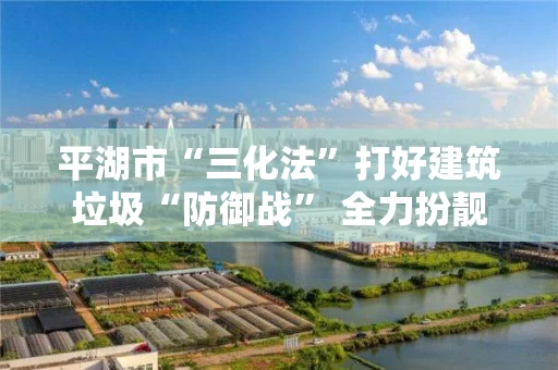 平湖市“三化法”打好建筑垃圾“防御战” 全力扮靓美丽田园城镇