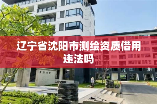 辽宁省沈阳市测绘资质借用违法吗