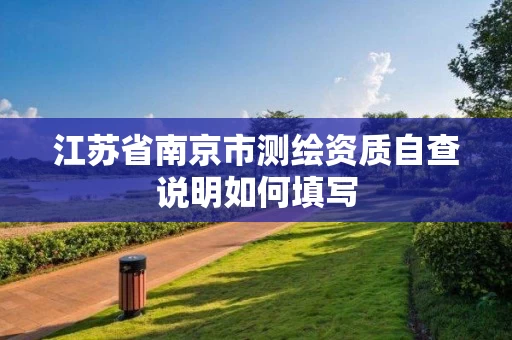 江苏省南京市测绘资质自查说明如何填写