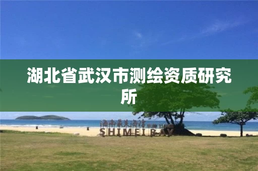 湖北省武汉市测绘资质研究所