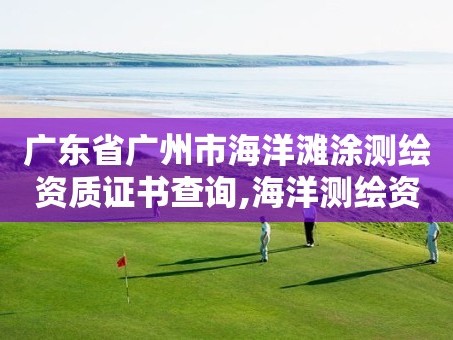 广东省广州市海洋滩涂测绘资质证书查询,海洋测绘资质 内容。