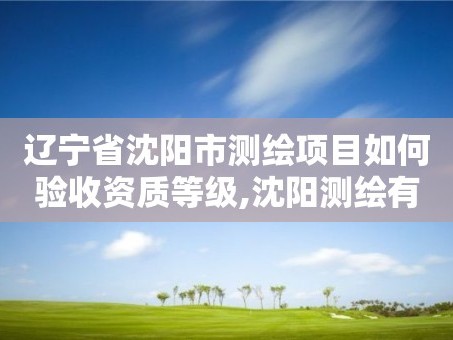辽宁省沈阳市测绘项目如何验收资质等级,沈阳测绘有限公司。