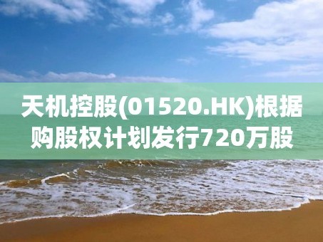 天机控股(01520.HK)根据购股权计划发行720万股