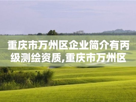 重庆市万州区企业简介有丙级测绘资质,重庆市万州区建设工程质量检测中心有限公司。