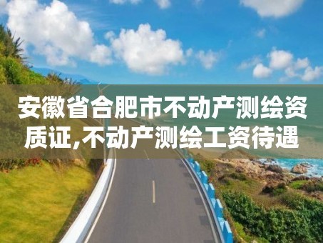 安徽省合肥市不动产测绘资质证,不动产测绘工资待遇