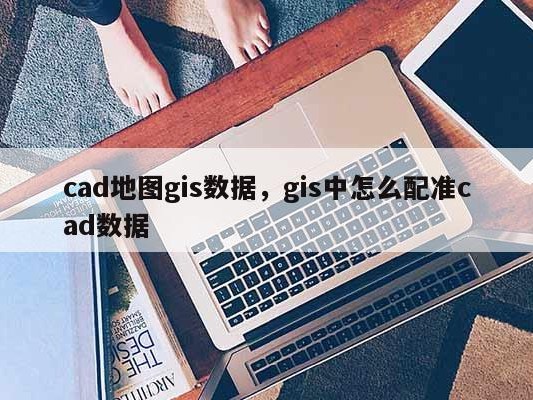 cad地图gis数据，gis中怎么配准cad数据