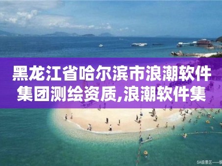 黑龙江省哈尔滨市浪潮软件集团测绘资质,浪潮软件集团有限公司软件评测实验室