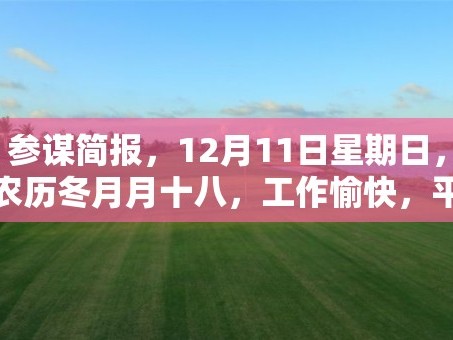 参谋简报，12月11日星期日，农历冬月月十八，工作愉快，平安喜乐