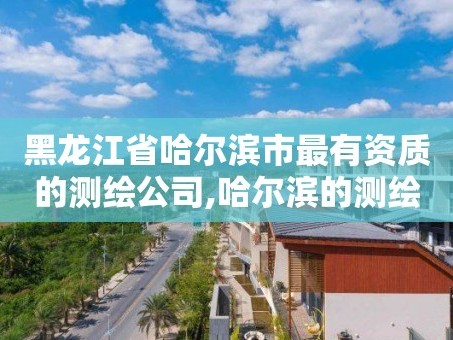 黑龙江省哈尔滨市最有资质的测绘公司,哈尔滨的测绘公司有哪些。