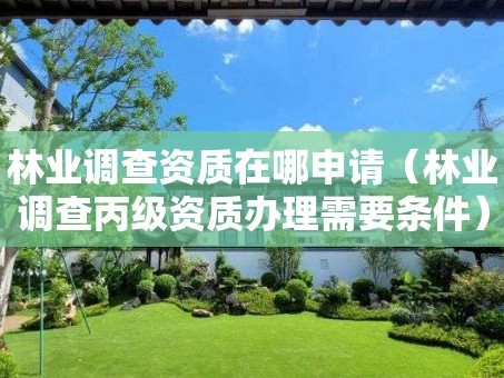 林业调查资质在哪申请（林业调查丙级资质办理需要条件）
