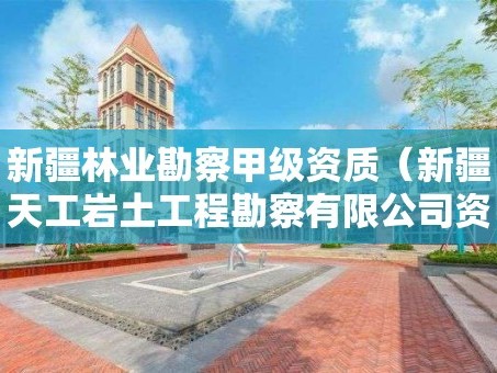 新疆林业勘察甲级资质（新疆天工岩土工程勘察有限公司资质等级是几级）