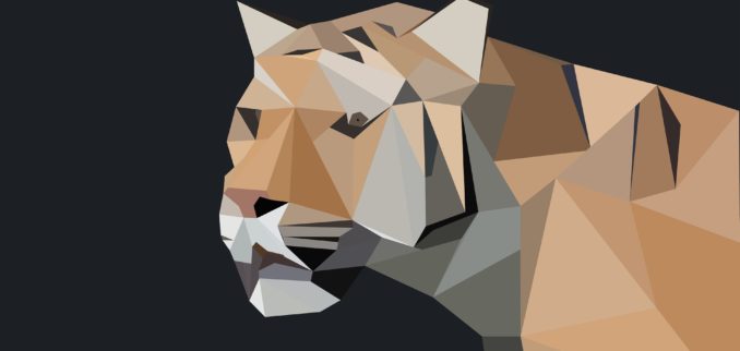 TIGER GIS数据（拓扑集成地理编码和参考）