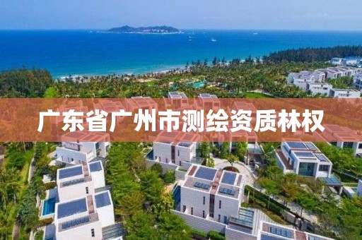 广东省广州市测绘资质林权