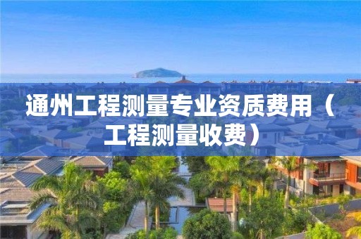 通州工程测量专业资质费用（工程测量收费）