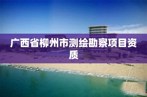广西省柳州市测绘勘察项目资质 广西省柳州市测绘勘察项目资质