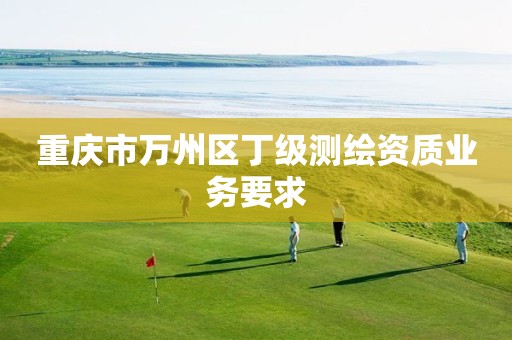 重庆市万州区丁级测绘资质业务要求 重庆市万州区丁级测绘资质业务要求