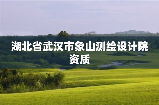 湖北省武汉市象山测绘设计院资质