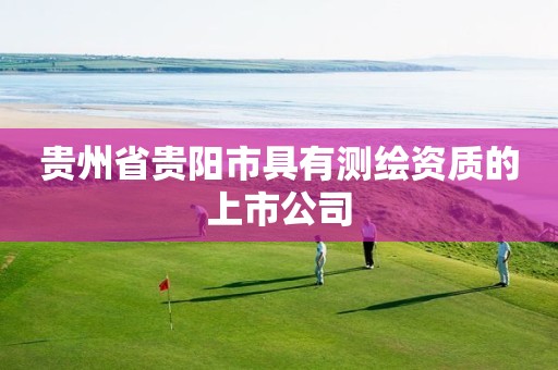 贵州省贵阳市具有测绘资质的上市公司 贵州省贵阳市具有测绘资质的上市公司