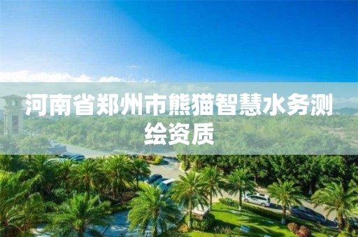河南省郑州市熊猫智慧水务测绘资质 河南省郑州市熊猫智慧水务测绘资质