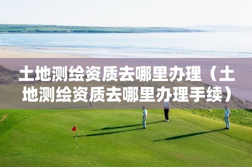 土地测绘资质去哪里办理(土地测绘资质去哪里办理手续)