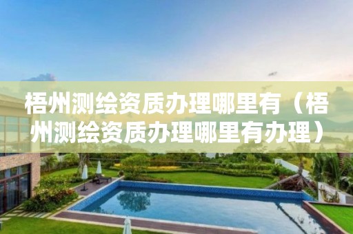 梧州测绘资质办理哪里有(梧州测绘资质办理哪里有办理)