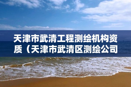 天津市武清工程测绘机构资质(天津市武清区测绘公司)