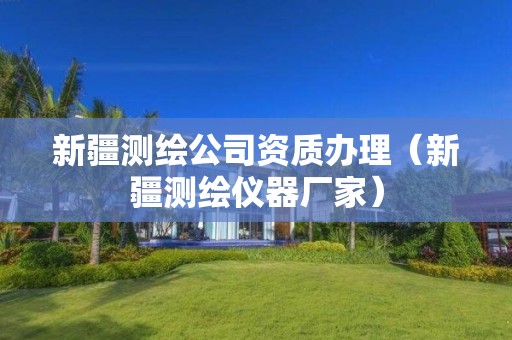 新疆测绘公司资质办理(新疆测绘仪器厂家)