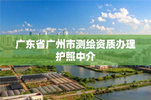 广东省广州市测绘资质办理护照中介 广东省广州市测绘资质办理护照中介