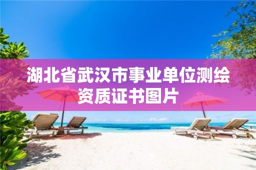 湖北省武汉市事业单位测绘资质证书图片 湖北省武汉市事业单位测绘资质证书图片