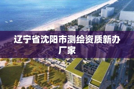 辽宁省沈阳市测绘资质新办厂家 辽宁省沈阳市测绘资质新办厂家
