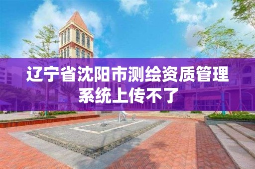 辽宁省沈阳市测绘资质管理系统上传不了 辽宁省沈阳市测绘资质管理系统上传不了