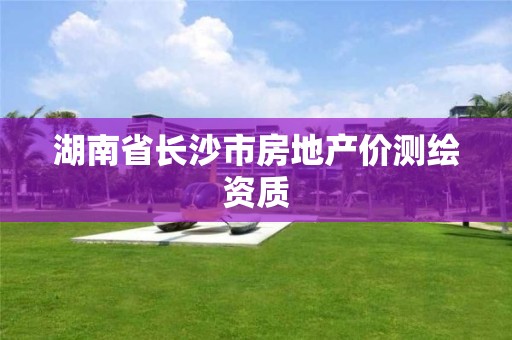 湖南省长沙市房地产价测绘资质 湖南省长沙市房地产价测绘资质