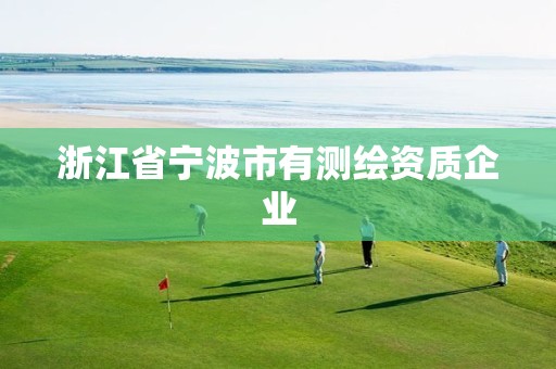 浙江省宁波市有测绘资质企业 浙江省宁波市有测绘资质企业