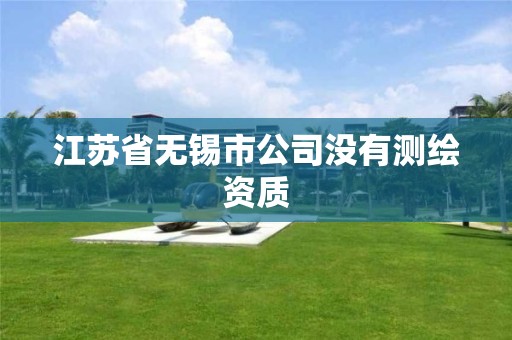 江苏省无锡市公司没有测绘资质 江苏省无锡市公司没有测绘资质