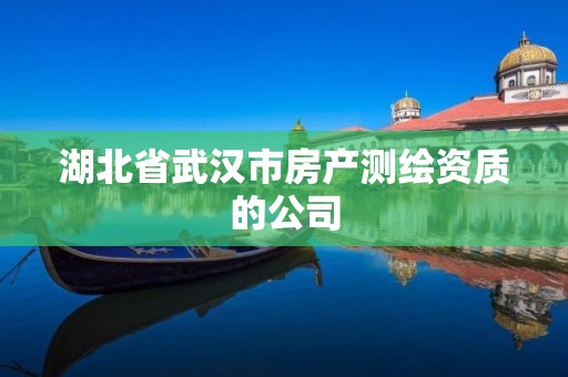 湖北省武汉市房产测绘资质的公司 湖北省武汉市房产测绘资质的公司