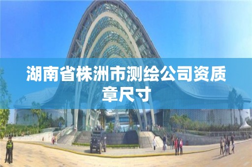湖南省株洲市测绘公司资质章尺寸