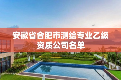 安徽省合肥市测绘专业乙级资质公司名单 安徽省合肥市测绘专业乙级资质公司名单