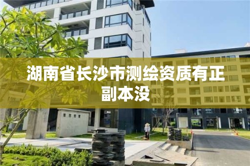 湖南省长沙市测绘资质有正副本没 湖南省长沙市测绘资质有正副本没